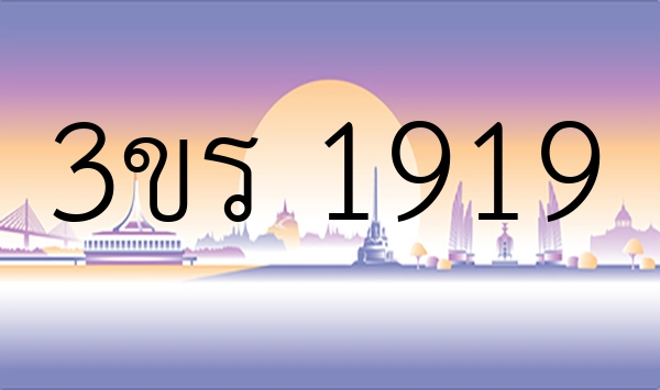 3ขร 1919